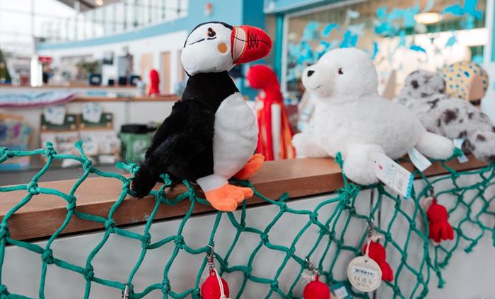 Cute and cuddly puffin and baby seal stuffed toys perched ontop of display shelves.